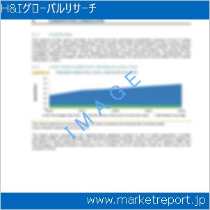 市場と産業調査レポートのイメージ
